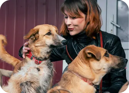 The Animal Foundation — Google Ad Grant case study results